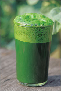green drinks holistic retreat