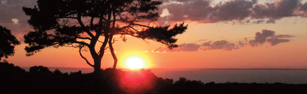 Martha’s Vineyard Sunset